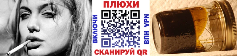 как найти наркотики  Златоуст  Гашиш индика сатива 