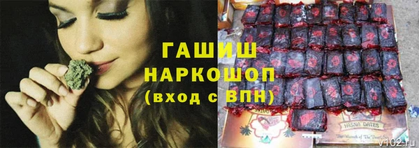 apvp Алексин