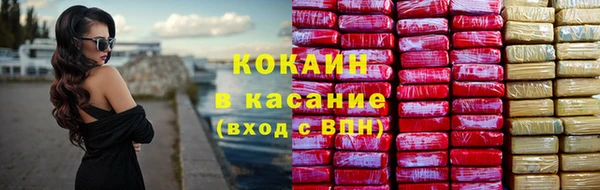 твердый Алексеевка