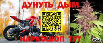трава Краснодар