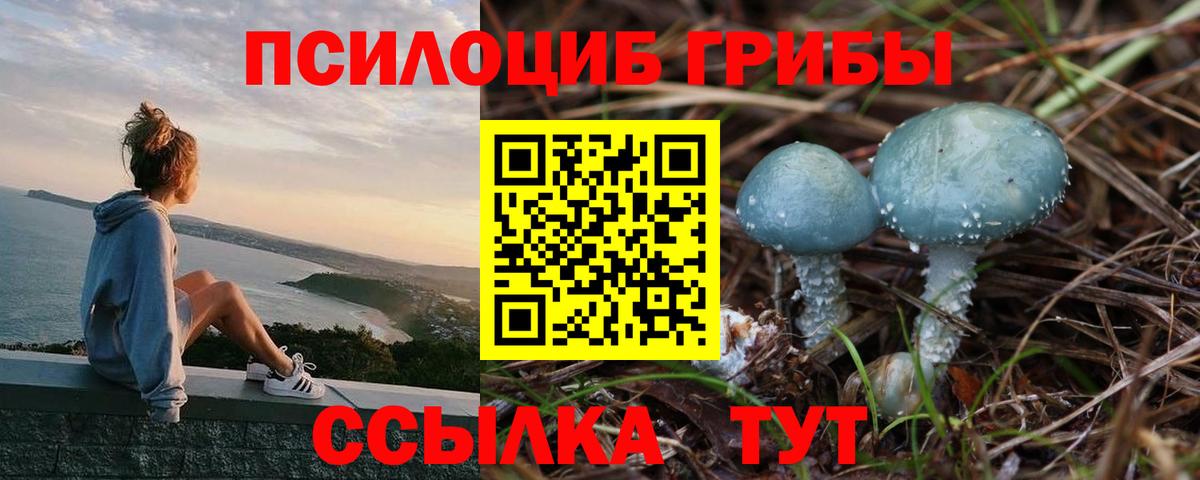 Златоуст  Псилоцибиновые грибы прущие грибы  Вход с VPN 